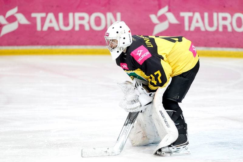 Ice Hockey. Polska Hokej Liga. Tauron KH GKS Katowice - TatrySki Podhale Nowy Targ. 06.04.2019
