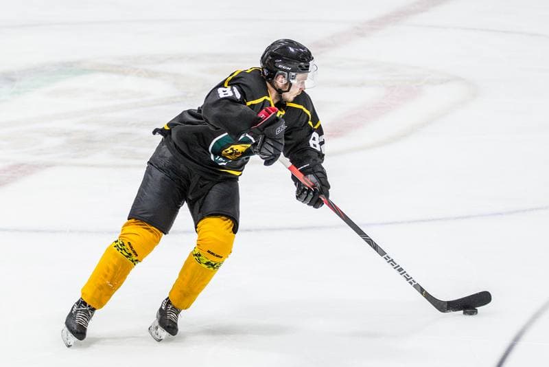 Ice Hockey. Visegrad Cup. JKH GKS Jastrzebie - KH GKS Katowice. 16.08.2019