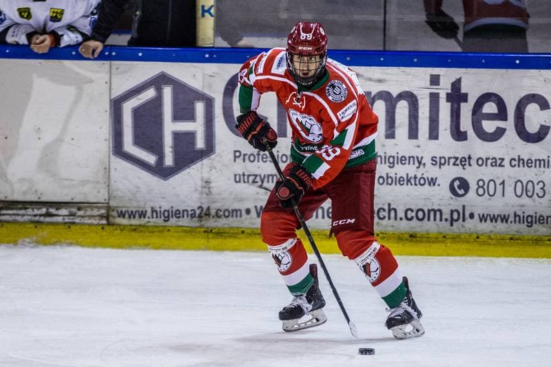 Ice Hockey. PHL. Naprzod Janow - Zaglebie Sosnowiec. 03.11.2019