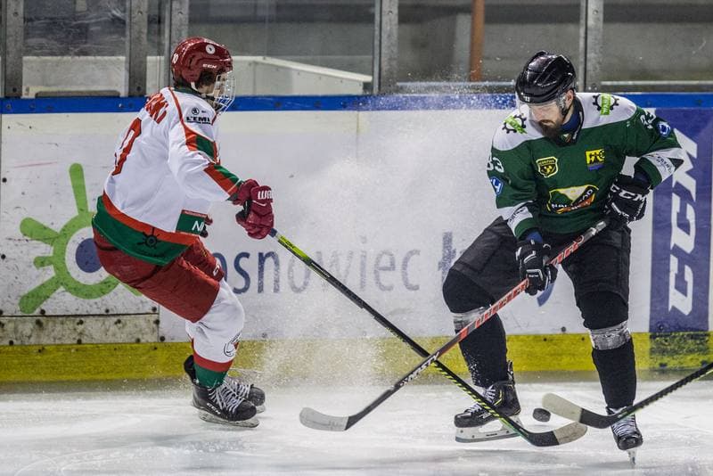 Ice Hockey. PHL. Zaglebie Sosnowiec - Naprzod Janow. 14.01.2020