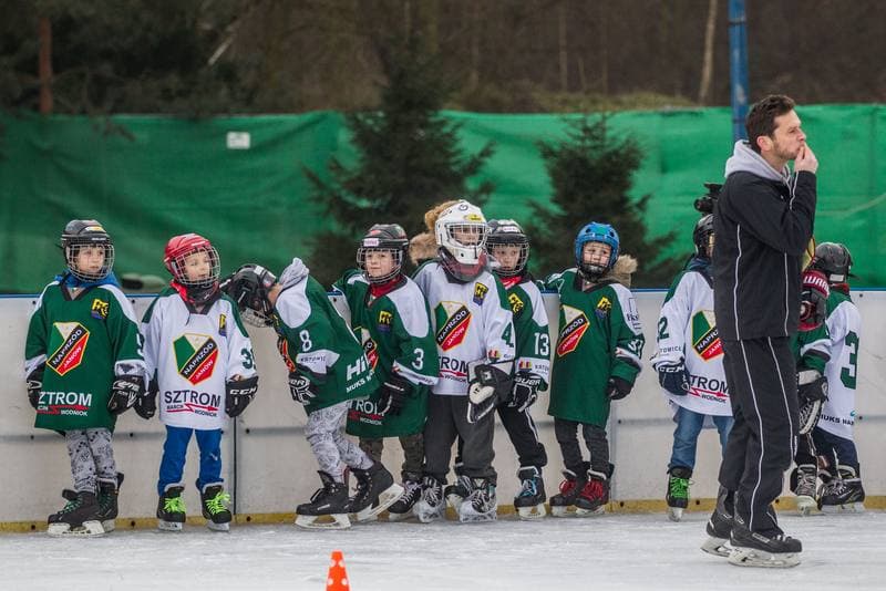Ice Hockey. Poland national team. Training. 17.01.2020