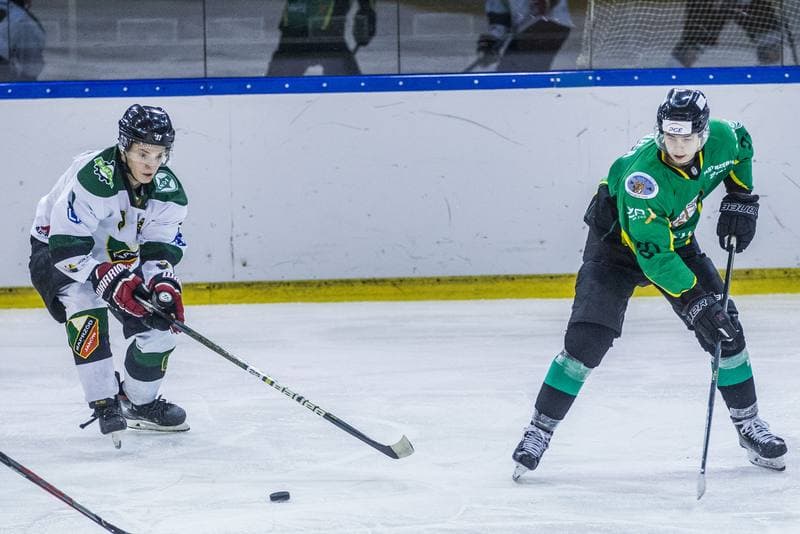 Ice Hockey. PHL. Naprzod Janow - JKH GKS Jastrzebie. 17.01.2020
