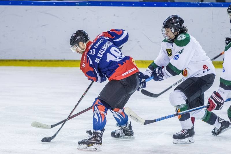 Ice Hockey. PHL. Naprzod Janow - Energa Torun. 31.01.2020