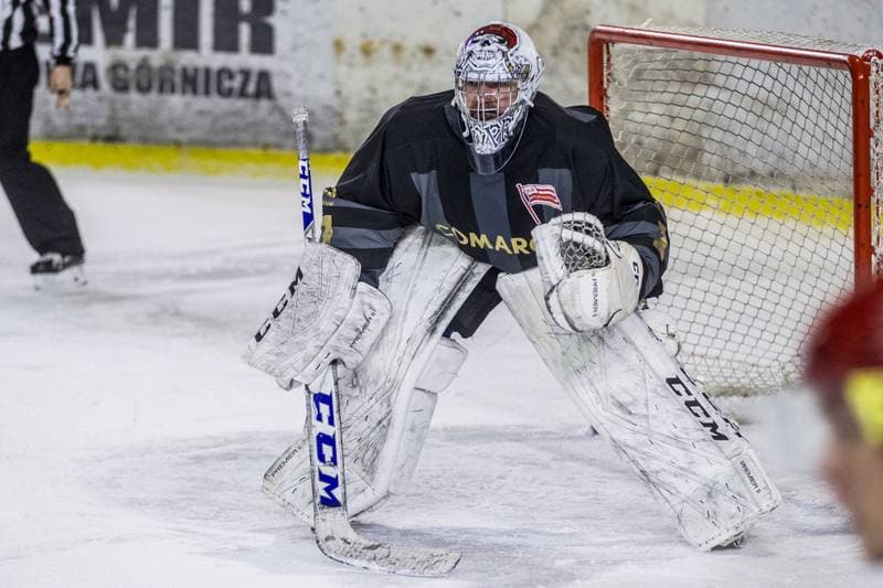 Ice Hockey. PHL. Zaglebie Sosnowiec - Comarch Cracovia. 31.01.2020