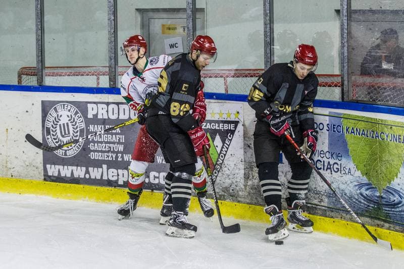 Ice Hockey. PHL. Zaglebie Sosnowiec - Comarch Cracovia. 31.01.2020