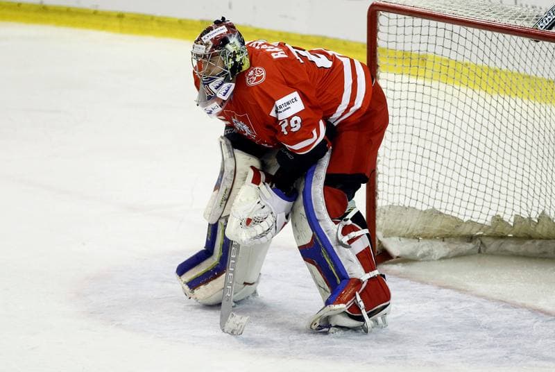 Ice Hockey. Euro Ice Hockey Challenge. Poland - Austria. 07.11.2015
