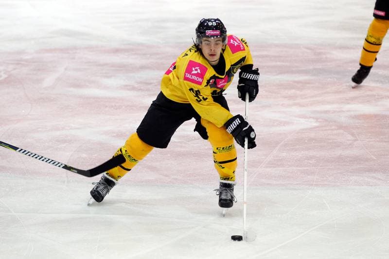 Ice Hockey. Tauron Hokej Liga. Tauron KH GKS Katowice - Anteo Naprzod Janow. 03.11.2017
