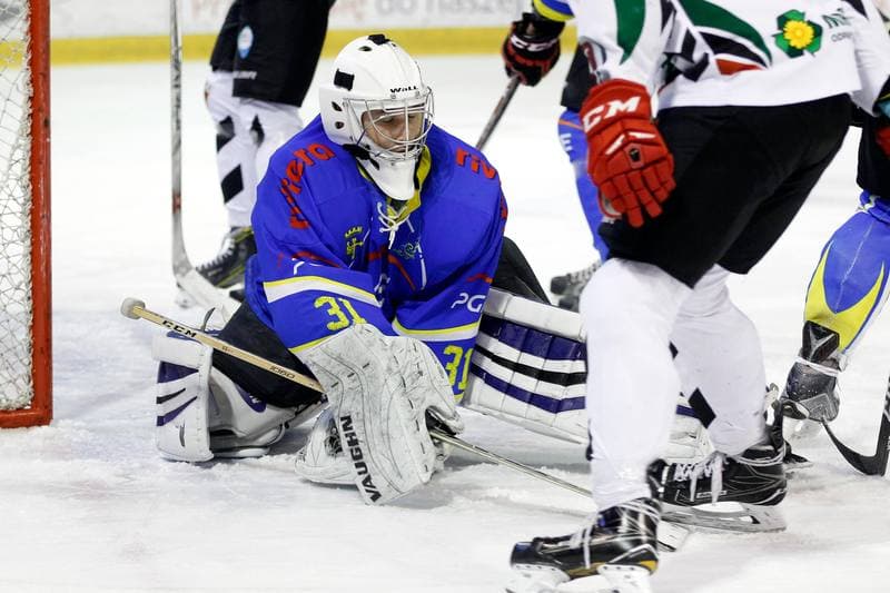 Ice Hockey. Polska Hokej Liga. GKS Tychy - Orlik Opole. 13.01.2017