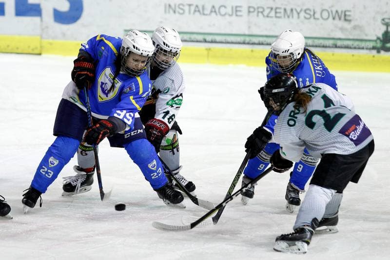 Ice Hockey. PLHK. Naprzod Janow - Unia Oswiecim. 20.01.2018