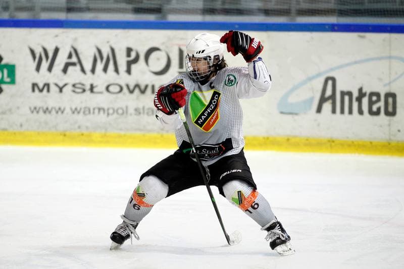 Ice Hockey. PLHK. Naprzod Janow - Kozice Poznan. 11.02.2018
