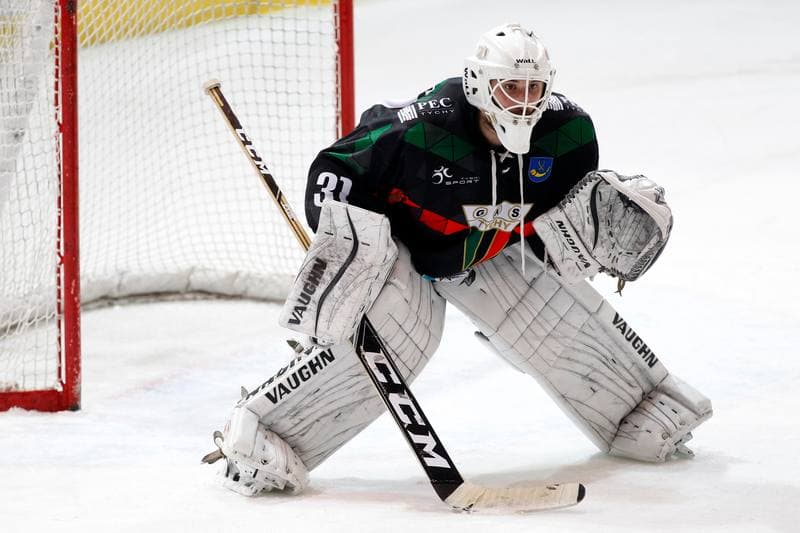 Ice Hockey. Tauron Hokej Liga. Tauron KH GKS Katowice - GKS Tychy. 14.01.2018