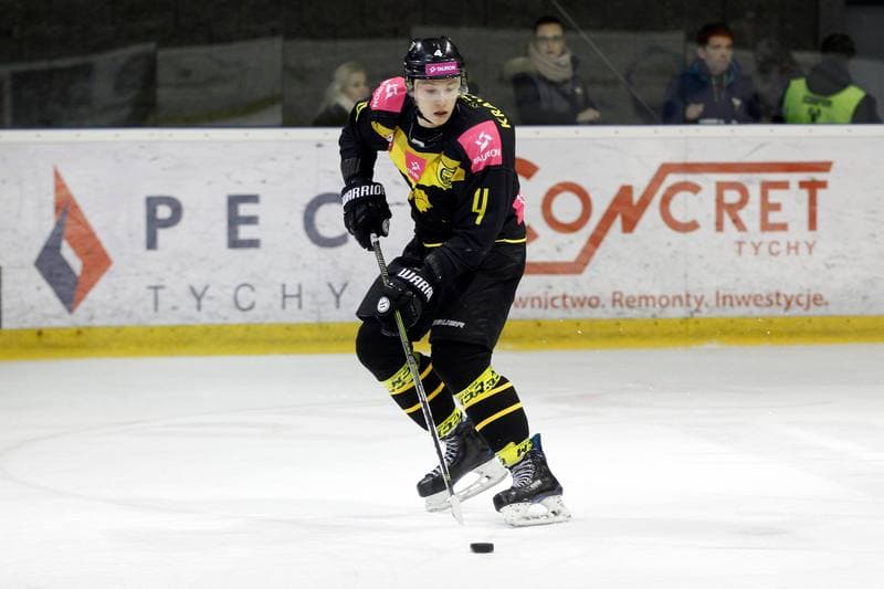 Ice Hockey. Polska Hokej Liga. GKS Tychy - Tauron KH GKS Katowice. 11.02.2018