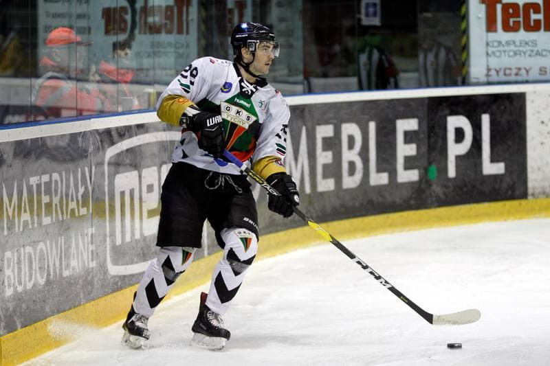Ice Hockey. Polska Hokej Liga. GKS Tychy - Automatyka Gdansk. 22.02.2019