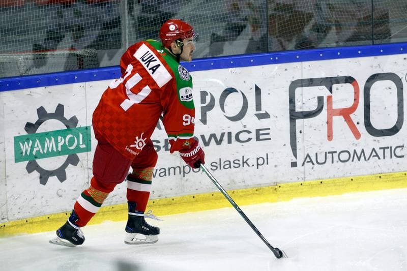 Ice Hockey. Polska Hokej Liga. Naprzod Janow - Zaglebie Sosnowiec. 23.02.2019