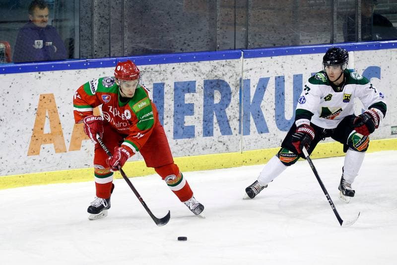 Ice Hockey. Polska Hokej Liga. Naprzod Janow - Zaglebie Sosnowiec. 23.02.2019