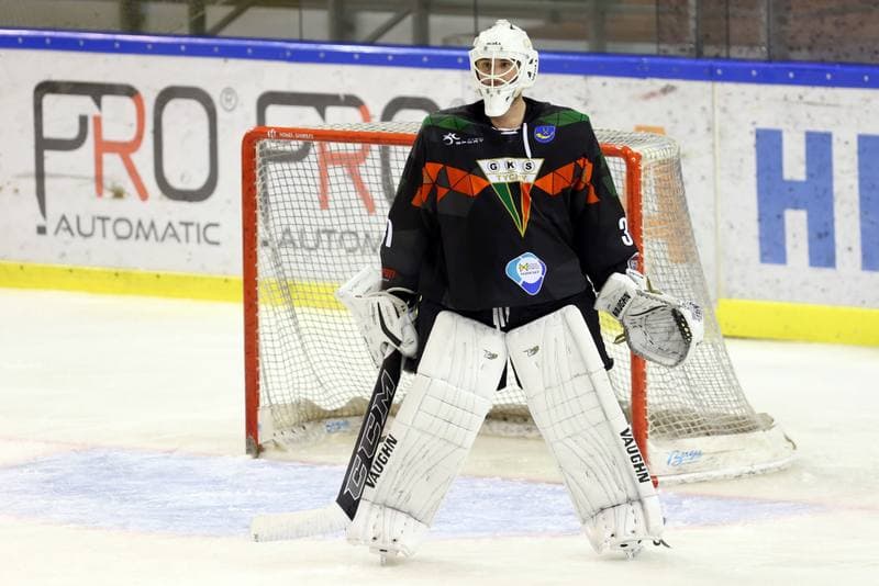 Ice Hockey. Polska Hokej Liga. Naprzod Janow - GKS Tychy. 15.10.2017