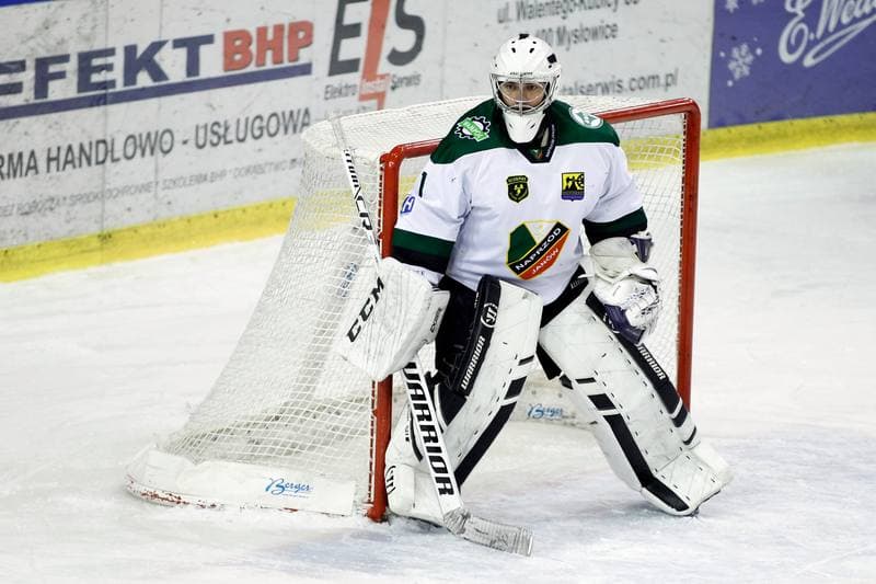 Ice Hockey. Tauron Hokej Liga. Anteo Naprzod Janow - GKS Tychy. 26.01.2018
