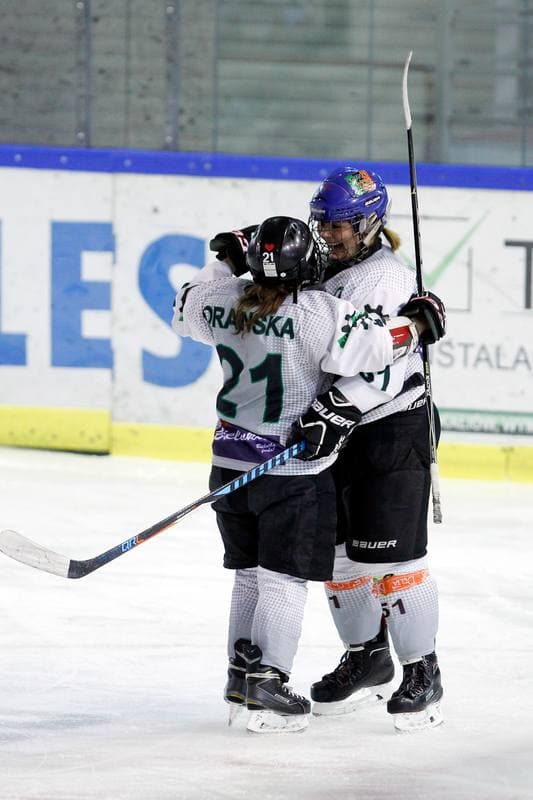 Ice Hockey. PLHK. Naprzod Janow - Atomowki Tychy. 03.02.2018