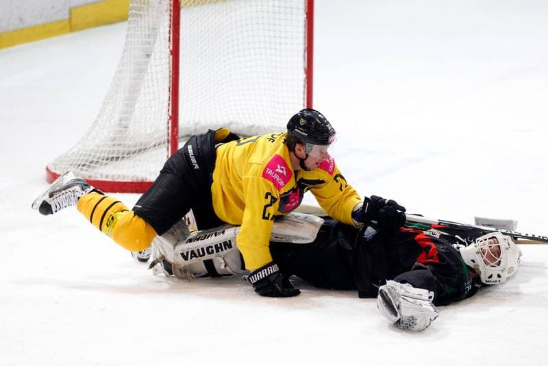 Ice Hockey. Tauron Hokej Liga. Tauron KH GKS Katowice - GKS Tychy. 14.01.2018