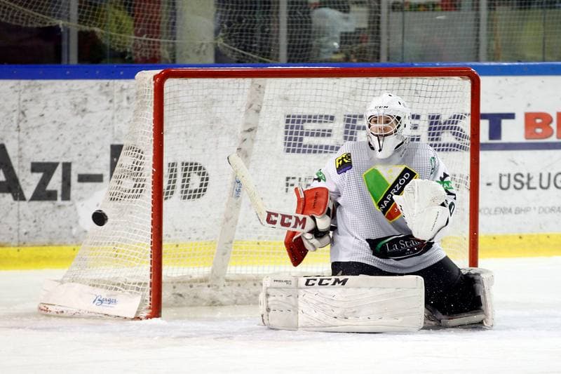 Ice Hockey. PLHK. Naprzod Janow - Kozice Poznan. 11.02.2018