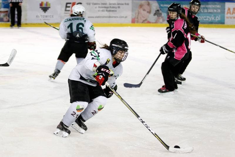 Ice Hockey. PLHK. Naprzod Janow - Kozice Poznan. 11.02.2018