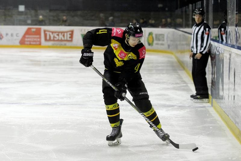 Ice Hockey. Polska Hokej Liga. GKS Tychy - Tauron KH GKS Katowice. 11.02.2018