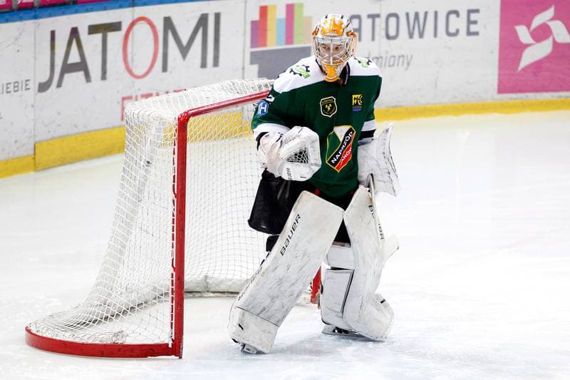Ice Hockey. Tauron Hokej Liga. Tauron KH GKS Katowice - Anteo Naprzod Janow. 02.02.2018