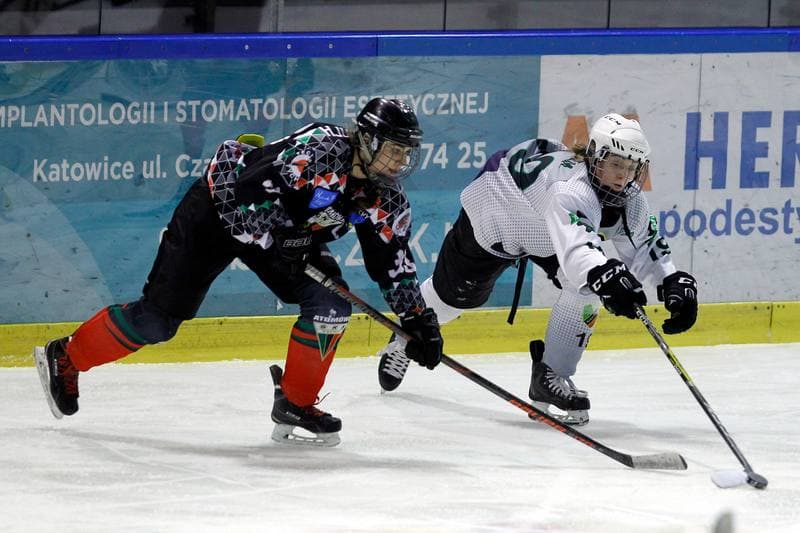 Ice Hockey. PLHK. Naprzod Janow - Atomowki Tychy. 03.02.2018