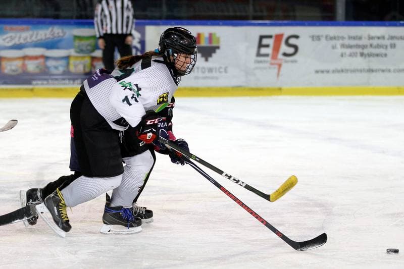 Ice Hockey. PLHK. Naprzod Janow - Kozice Poznan. 11.02.2018