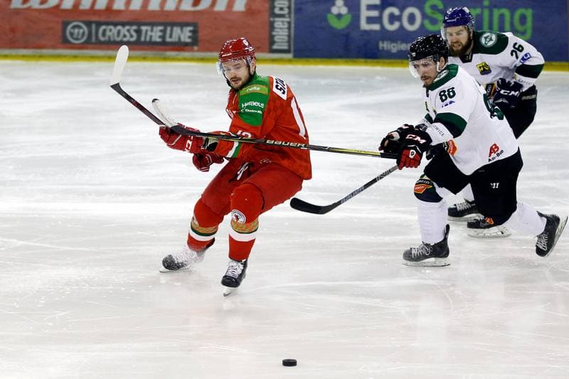 Ice Hockey. Polska Hokej Liga. Naprzod Janow - Zaglebie Sosnowiec. 23.02.2019