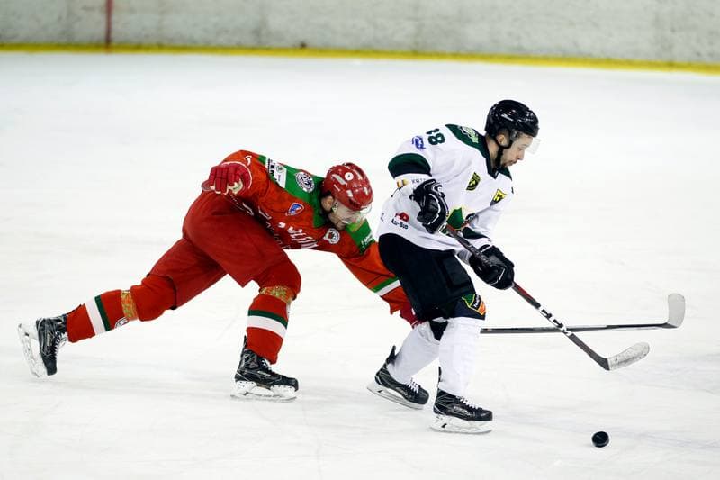 Ice Hockey. Polska Hokej Liga. Naprzod Janow - Zaglebie Sosnowiec. 23.02.2019