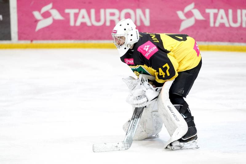Ice Hockey. Polska Hokej Liga. Tauron KH GKS Katowice - TatrySki Podhale Nowy Targ. 06.04.2019