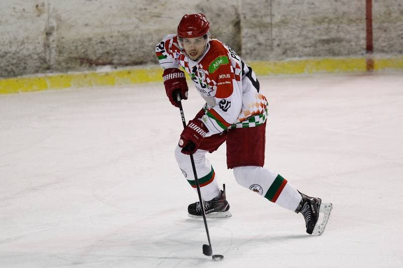 Ice Hockey. Polska Hokej Liga. Zaglebie Sosnowiec - MH Automatyka Gdansk. 02.01.2019