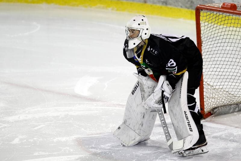 Ice Hockey. Polska Hokej Liga. Zaglebie Sosnowiec - GKS Tychy. 12.10.2018