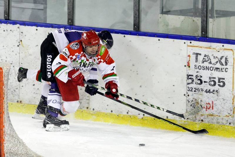 Ice Hockey. Polska Hokej Liga. Zaglebie Sosnowiec - MH Automatyka Gdansk. 02.01.2019