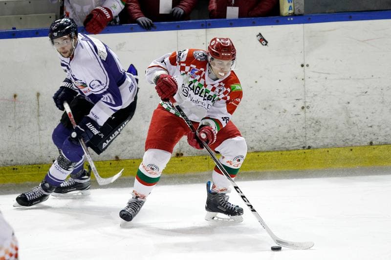 Ice Hockey. Polska Hokej Liga. Zaglebie Sosnowiec - MH Automatyka Gdansk. 02.01.2019