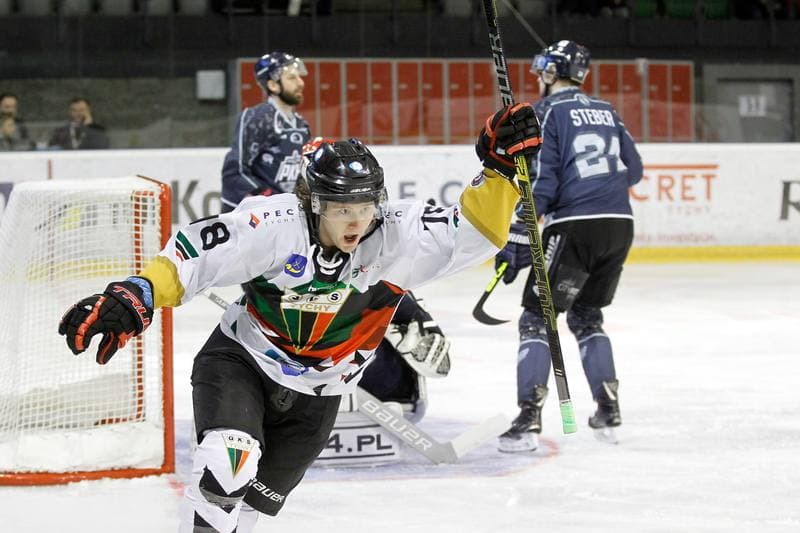 Ice Hockey. Polska Hokej Liga. GKS Tychy - MH Automatyka Gdansk. 16.02.2019