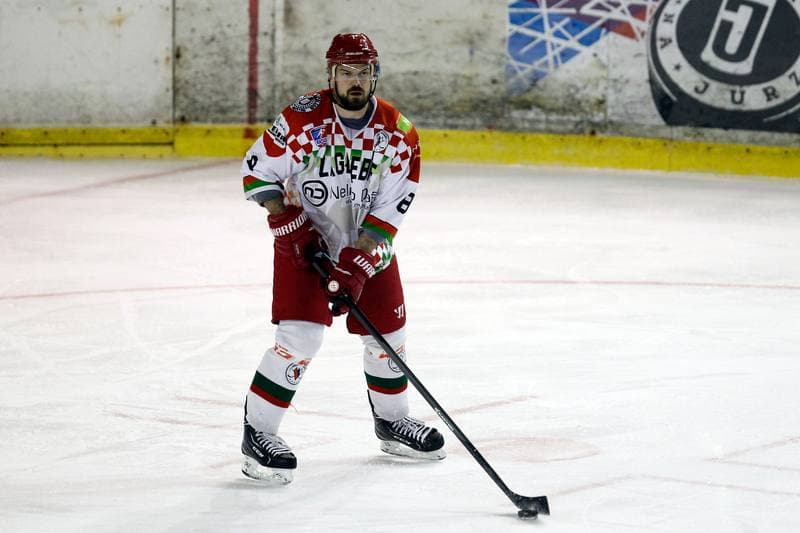 Ice Hockey. Polska Hokej Liga. Zaglebie Sosnowiec - Orlik Opole. 17.02.2019