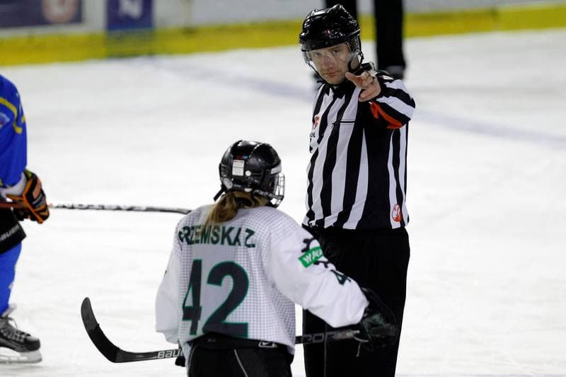 Ice Hockey. PLHK. Naprzod Janow - Unia Oswiecim. 20.01.2018