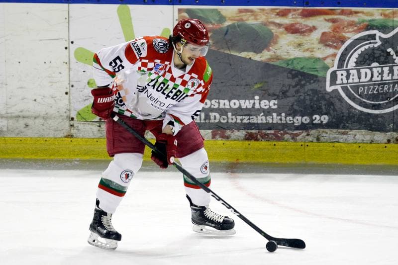 Ice Hockey. Polska Hokej Liga. Zaglebie Sosnowiec - Orlik Opole. 17.02.2019