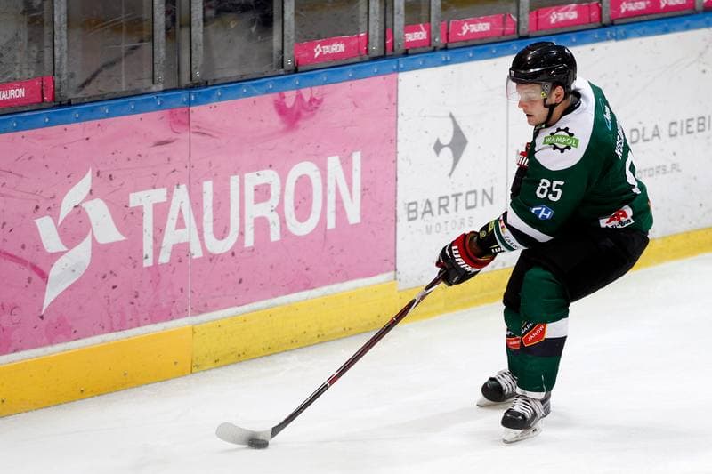 Ice Hockey. Tauron Hokej Liga. Tauron KH GKS Katowice - Anteo Naprzod Janow. 02.02.2018
