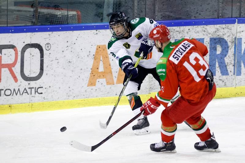 Ice Hockey. Polska Hokej Liga. Naprzod Janow - Zaglebie Sosnowiec. 23.02.2019