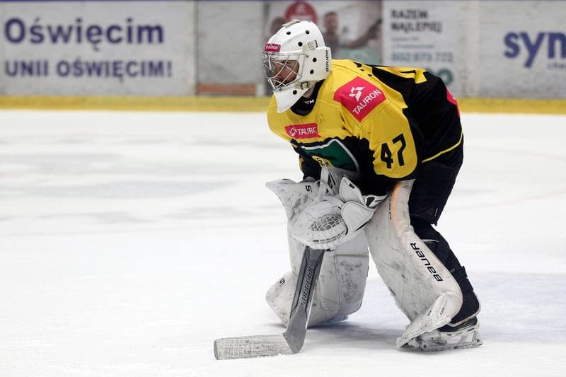 Ice Hockey. Polska Hokej Liga. Unia Oswiecim - Tauron KH GKS Katowice. 02.03.2019