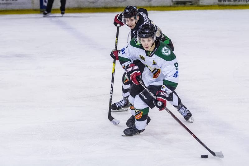 Ice Hockey. PHL. Naprzod Janow - GKS Tychy. 17.11.2019