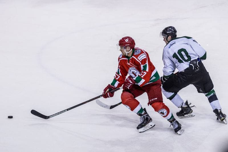 Ice Hockey. PHL. Naprzod Janow - Zaglebie Sosnowiec. 03.11.2019