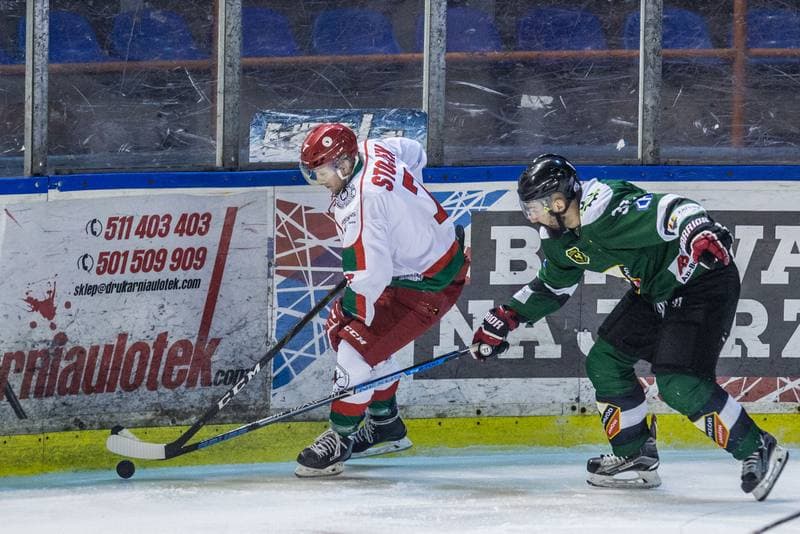 Ice Hockey. PHL. Zaglebie Sosnowiec - Naprzod Janow. 14.01.2020