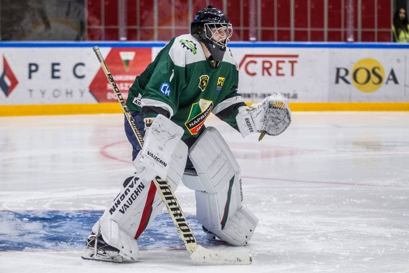 Ice Hockey. PHL. GKS Tychy - Naprzod Janow. 19.01.2020