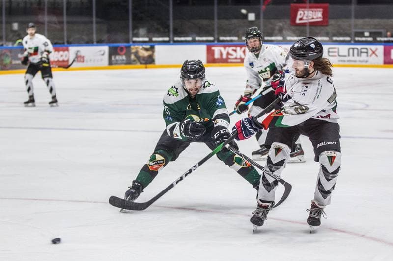 Ice Hockey. PHL. GKS Tychy - Naprzod Janow. 19.01.2020