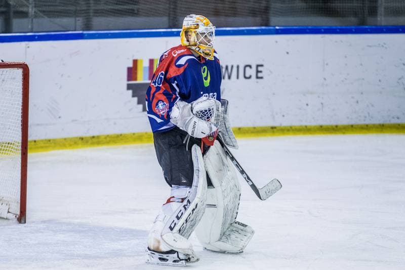 Ice Hockey. PHL. Naprzod Janow - Energa Torun. 31.01.2020