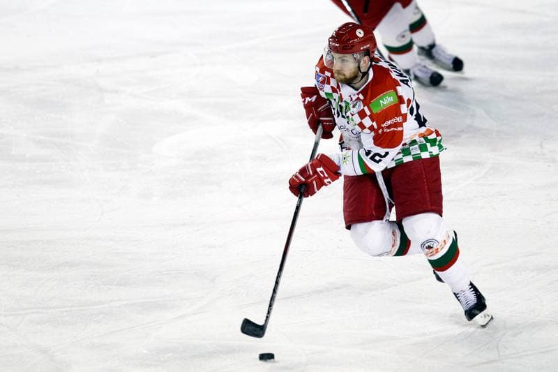 Ice Hockey. Polska Hokej Liga. Zaglebie Sosnowiec - PGE Orlik Opole. 04.12.2018